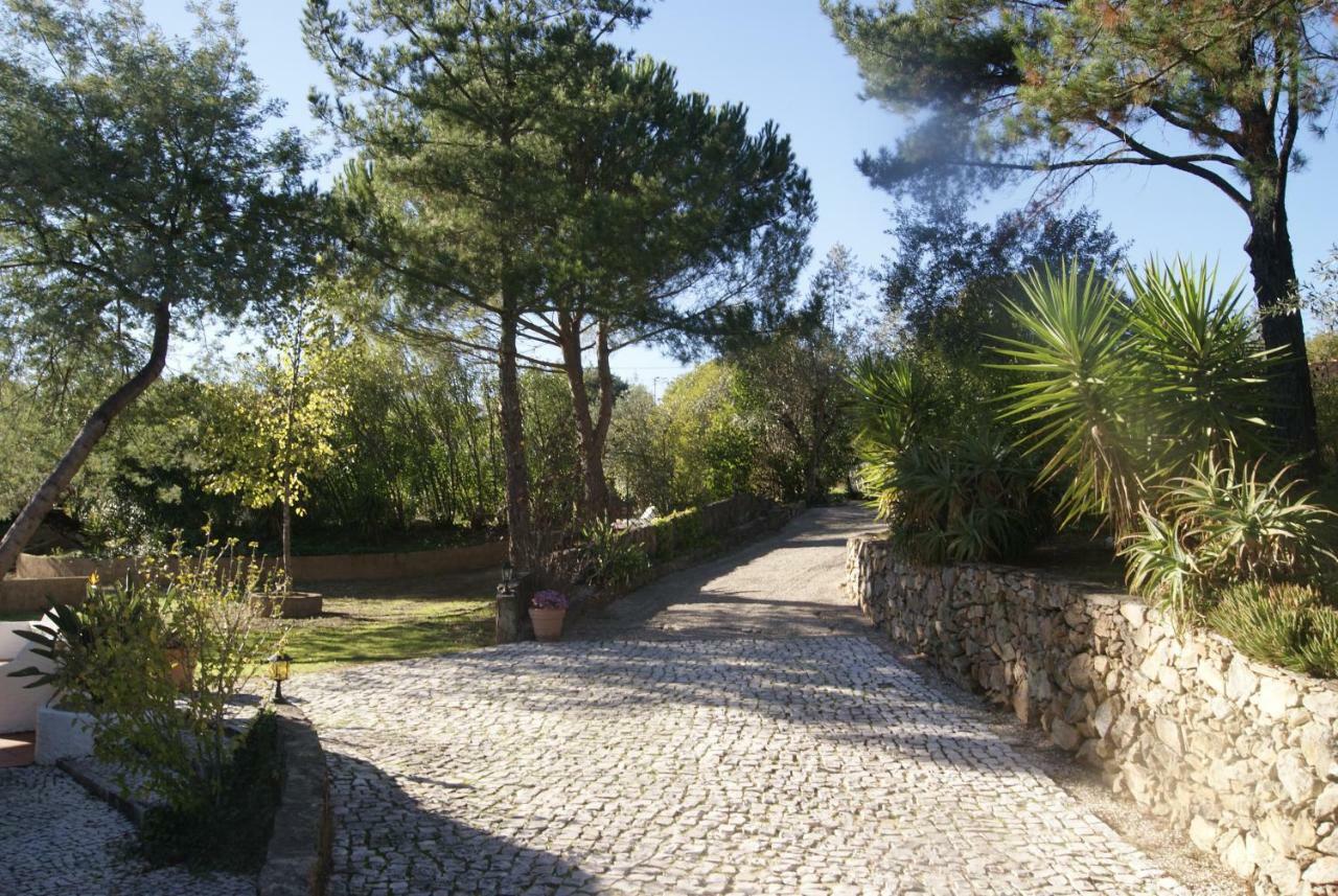 Villa Casa do Vale Sao Pedro de Tomar Exterior foto